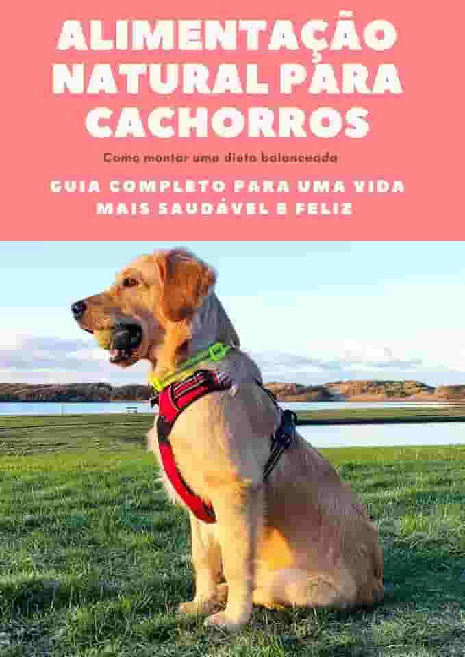 Alimentação Natural para Cachorros: Guia Completo para uma Vida Mais Saudável e Feliz