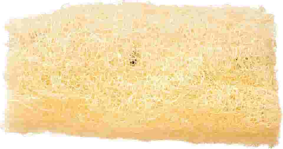 Bonitta Bucha Vegetal 625Bt 1 Unidade