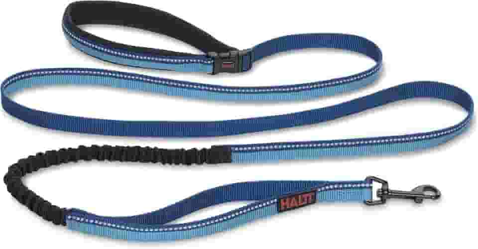 HALTI Coleira ativa – Prêmio Bungee Dog Leash, Absorvente de Choque, Cinto e Guia Acolchoados de Neoprene All-in-One, Perfeita para Corrida e Treinamento com Cães Médios e Grandes (Tamanho Grande,