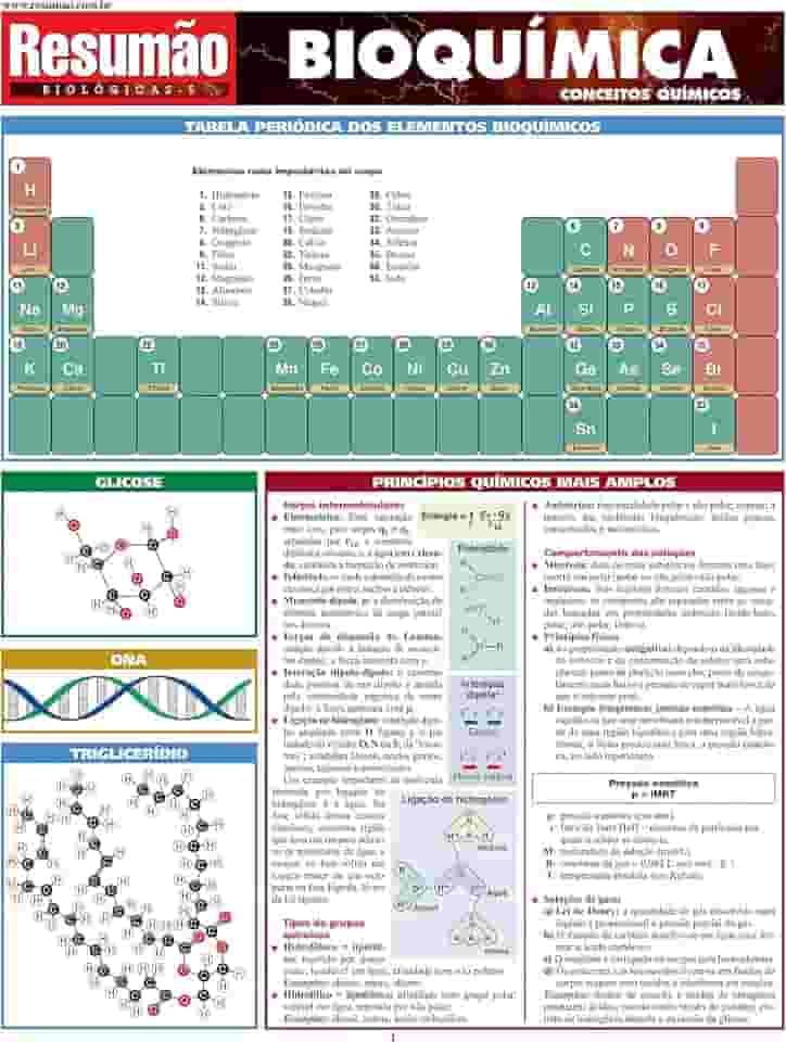 Resumão Bioquímica