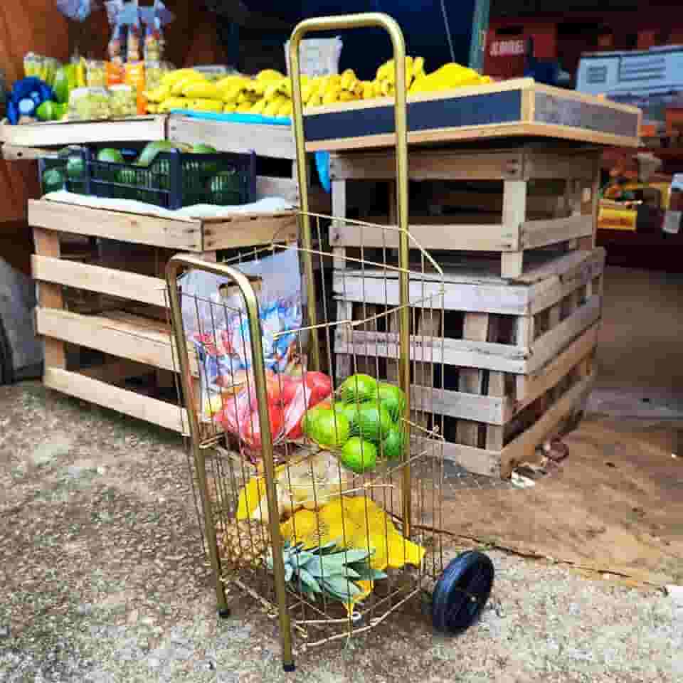 Carrinho de Compras Dobravél para Feira e Supermercado 4 Tubo PRATA com 2 Rodas Reforçadas Águia (Dourado)