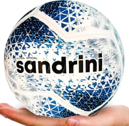 Bola De Futsal Sandrini Pro Oficial Alta Performance Quadra
