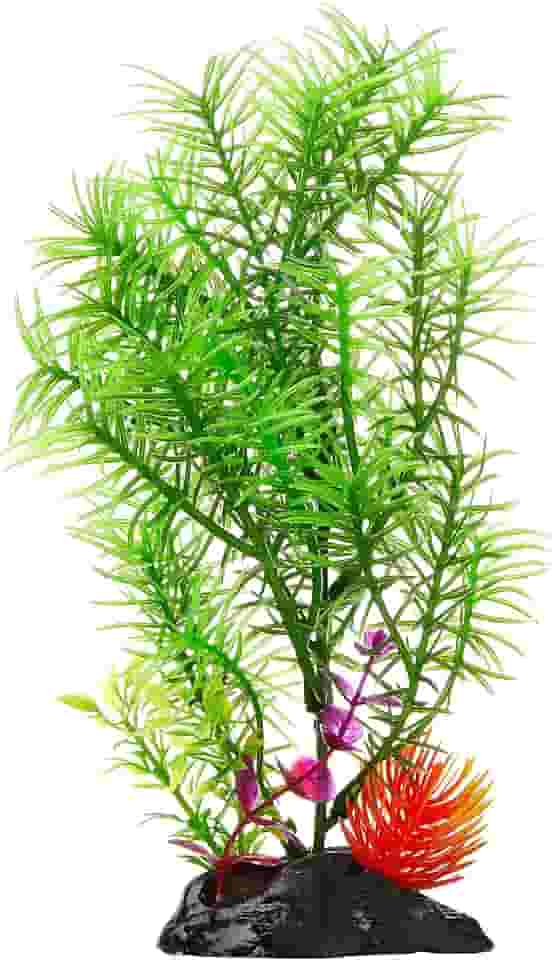 MAXXIS Maxxi Plantas Hp-8'' 20Cm