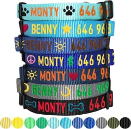 Blueberry Pet Coleiras de cachorro personalizadas Essentials para cães pequenos | Coleira ajustável e personalizada com etiqueta de nome - bordada com nome e número de telefone do animal de estimação