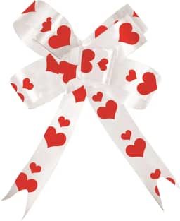 Laço Magico KIT P-18 16mx180mm coracao branco pct 10 unidades.