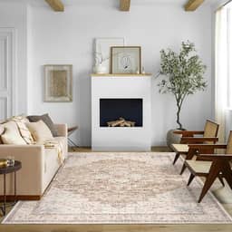 Boho Farmhouse Tapete de quarto lavável, fácil de limpar, resistente a manchas, vintage, rústico, neutro, persa, para sala de jantar, embaixo da mesa, marrom claro bege com estampa de